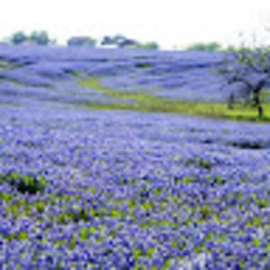 Meet your Posher, Mrs